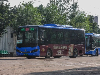 冀A 00293D