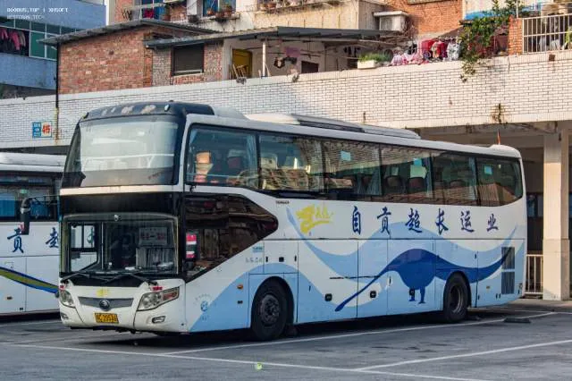 川C·20546