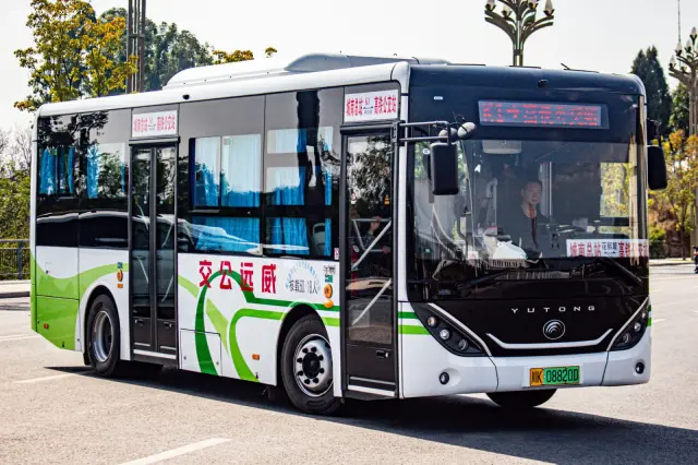 800BUS