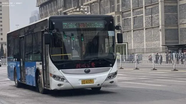 辽D·42291