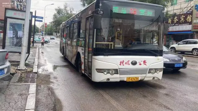 辽D·42635
