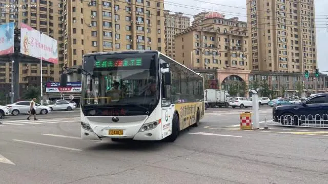 辽D·43073