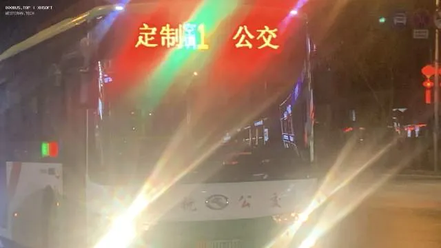 辽D·01001D