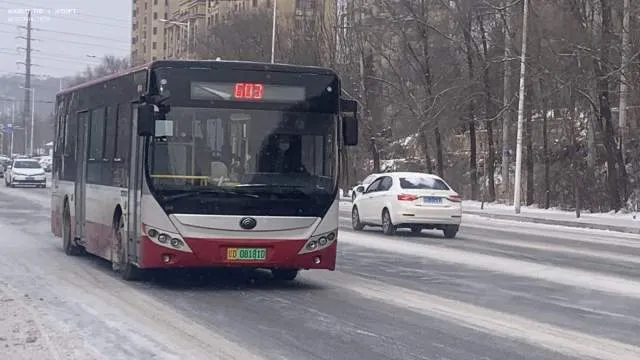 辽D·08181D