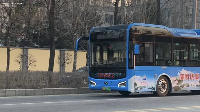 800BUS