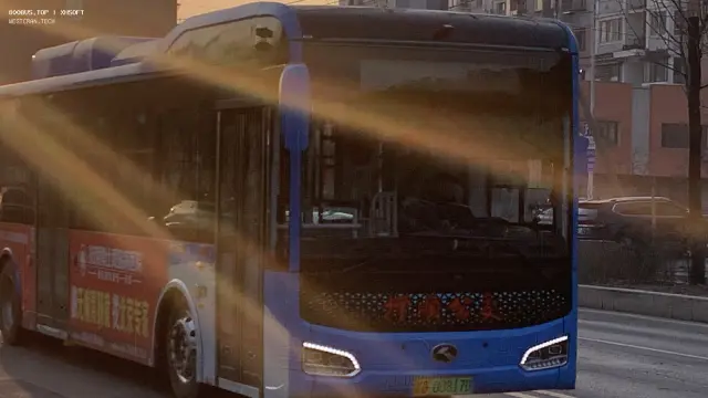 800BUS