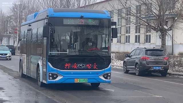 800BUS