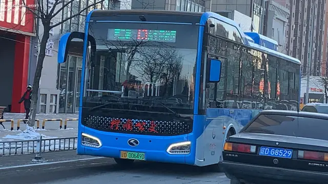 800BUS