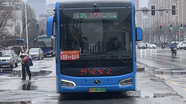 800BUS