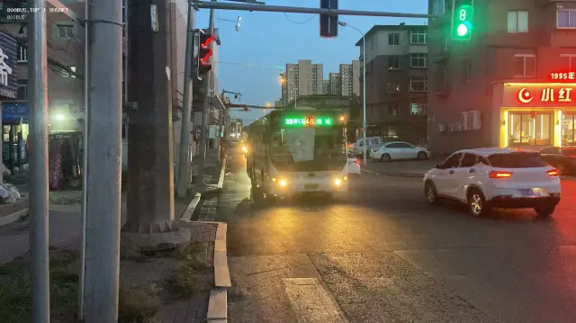 辽D·43810