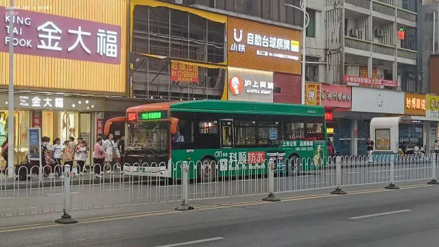 800BUS