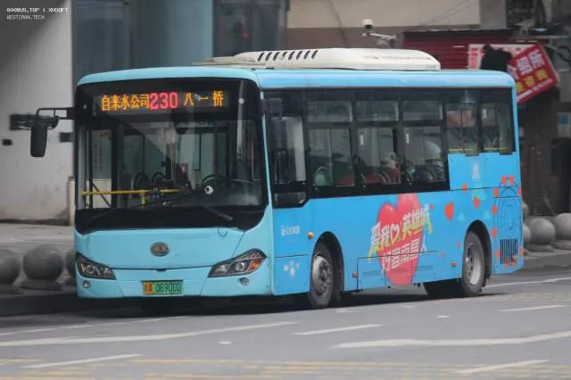 赣A06900D