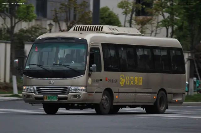 800BUS