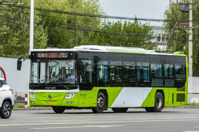 800BUS