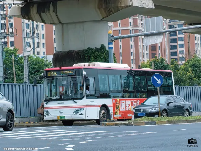 沪A 58999D