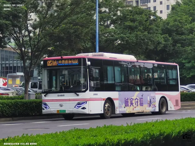 沪A 31111D