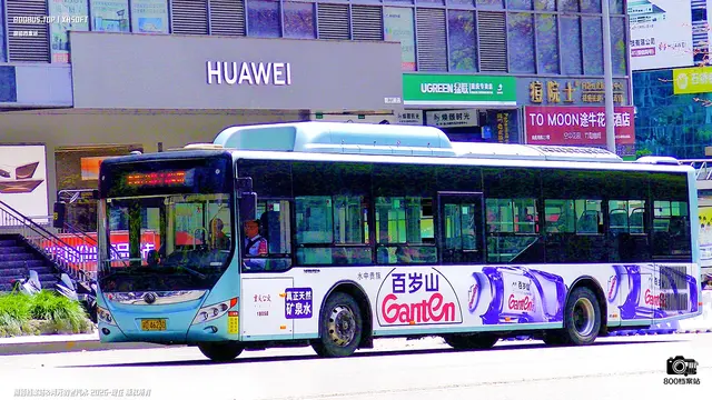渝A 46230