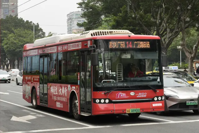 800BUS