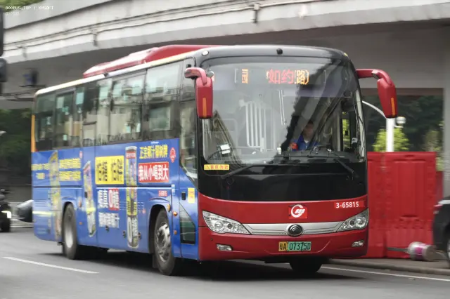粤A·07375D