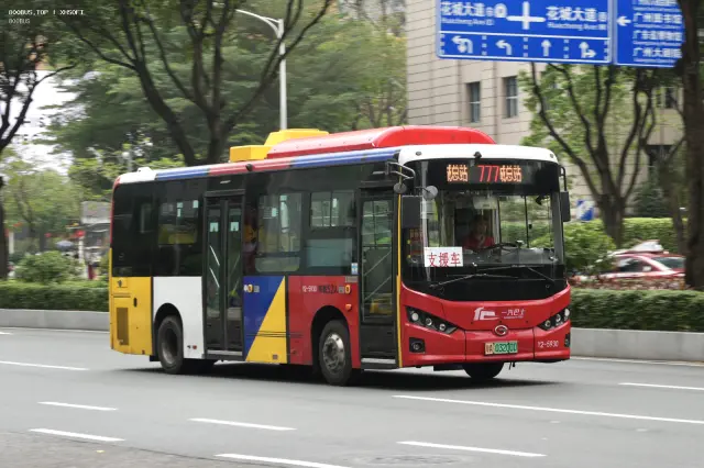 800BUS