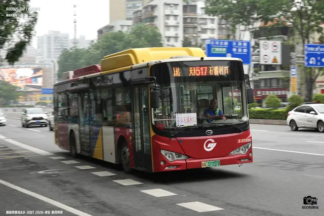 800BUS