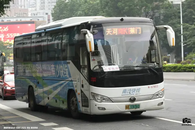 800BUS