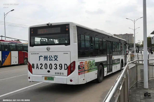 粤A 20039D