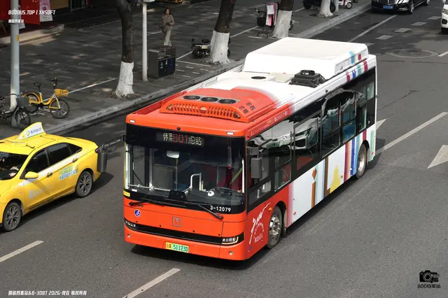 粤A 51123D