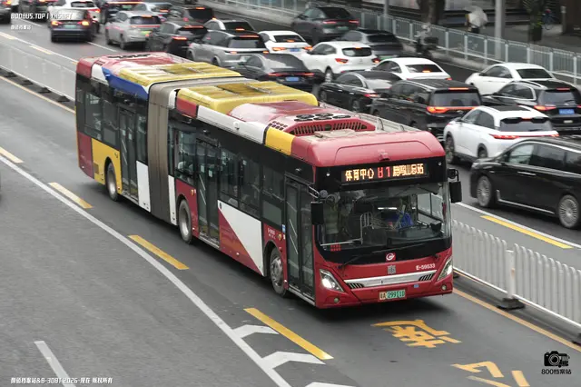 粤A 29911D
