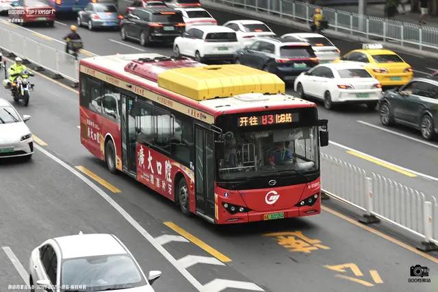 粤A 32216D
