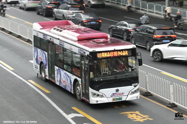 粤A 00508D