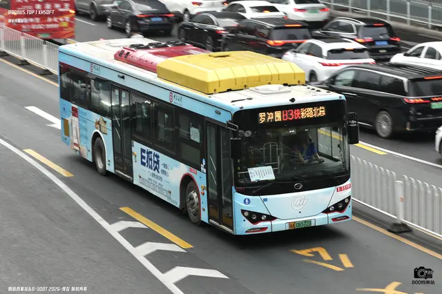 粤A 06572D