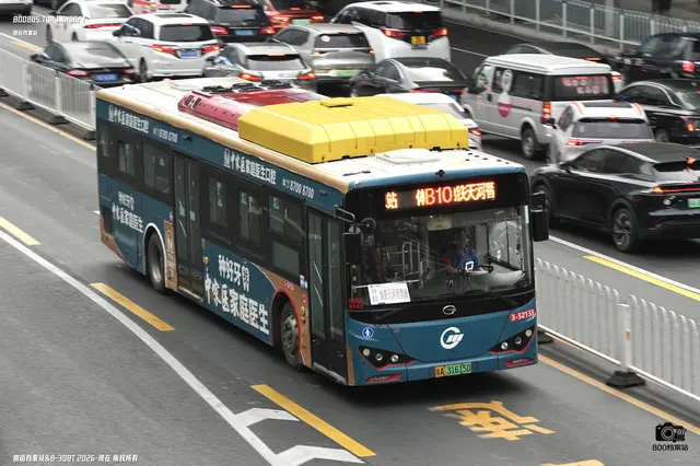 粤A 31615D