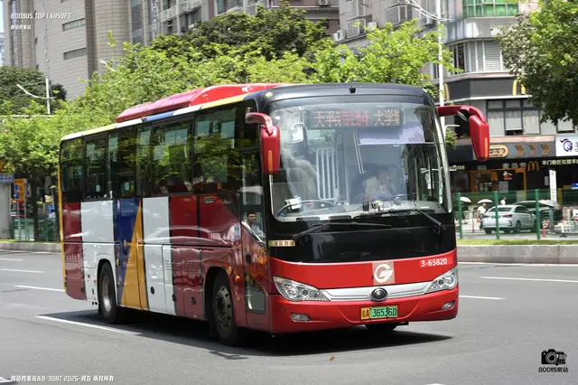 粤A 36536D