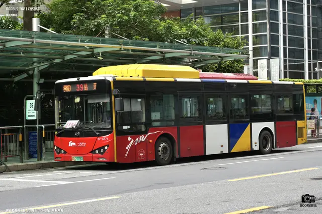 粤A 27236D