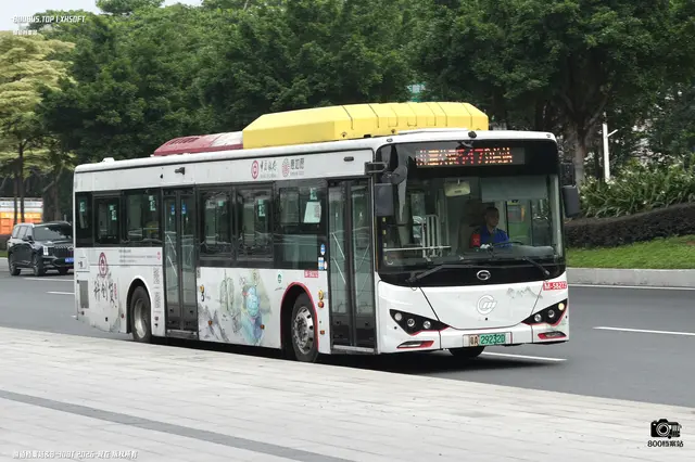 粤A 29232D