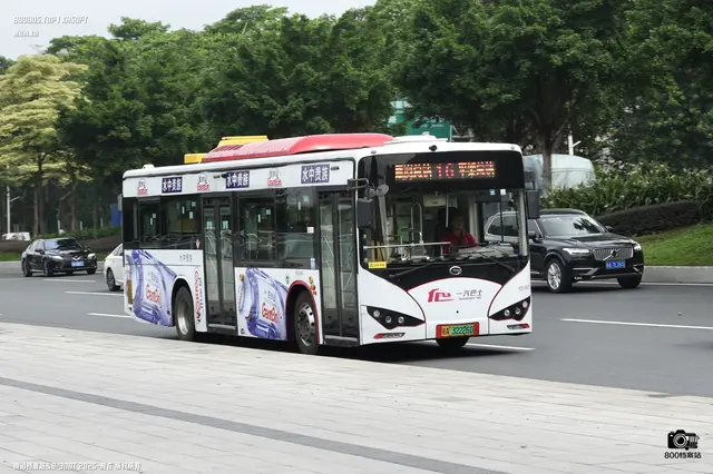 粤A 32226D