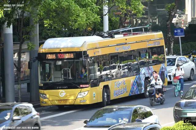 800BUS