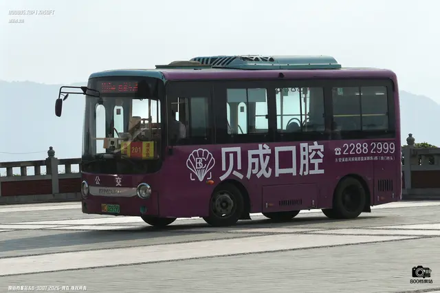闽C 02979D