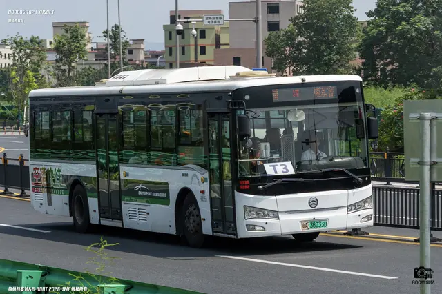 粤A 36033D