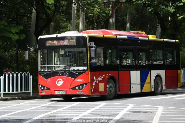 粤A 07815D