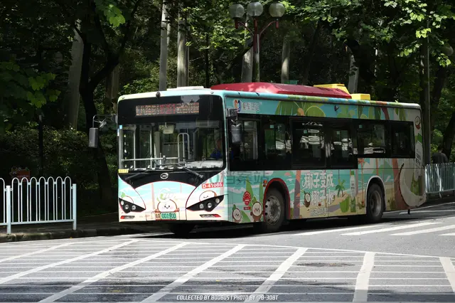 粤A 00190D