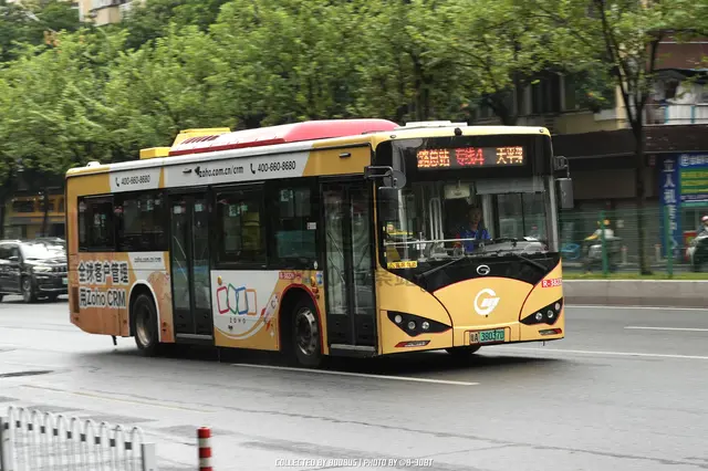 粤A 38037D
