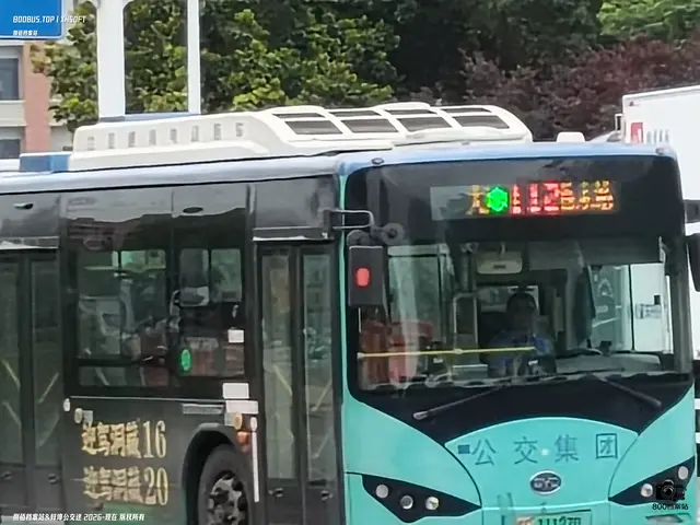 800BUS