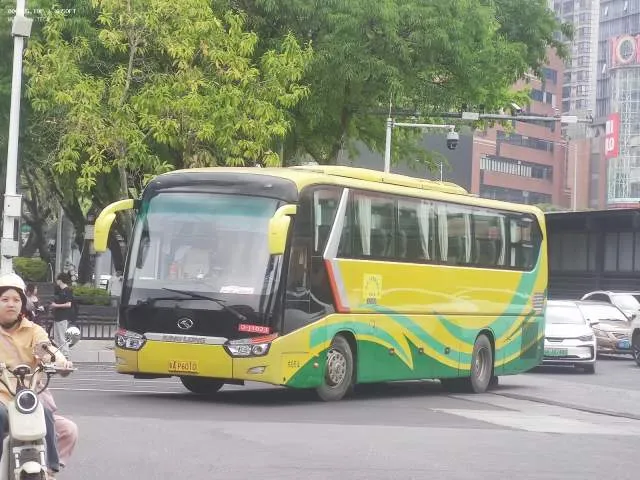 粤AP6010