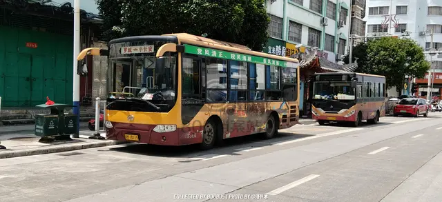 桂M 13115
