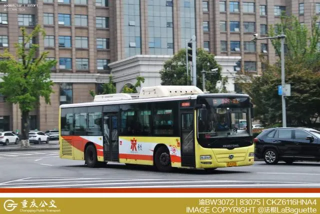 渝BW3072