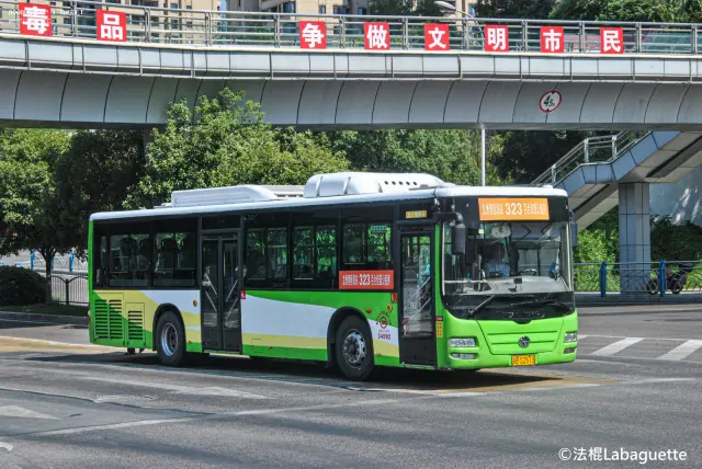 渝BS2513