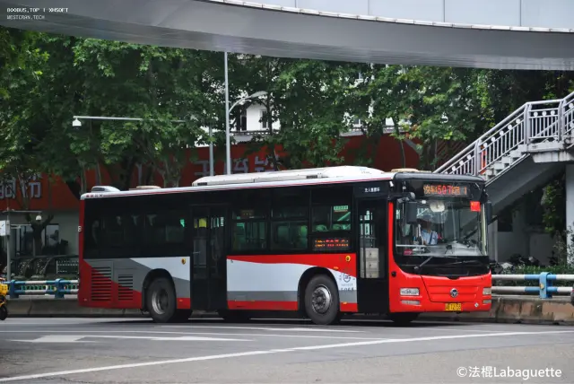 渝B T2155