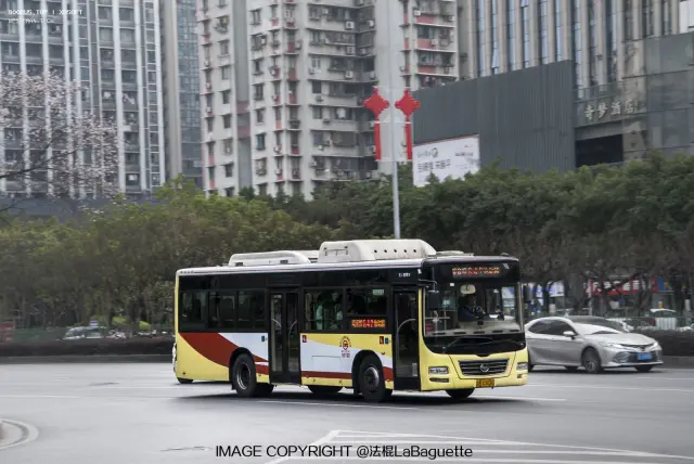 渝BX3030